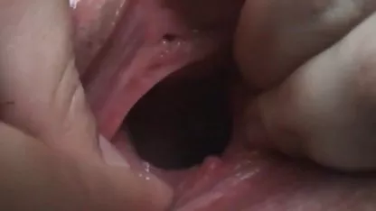 Dancing bear big dick für alte titten porn die Massen 10286
